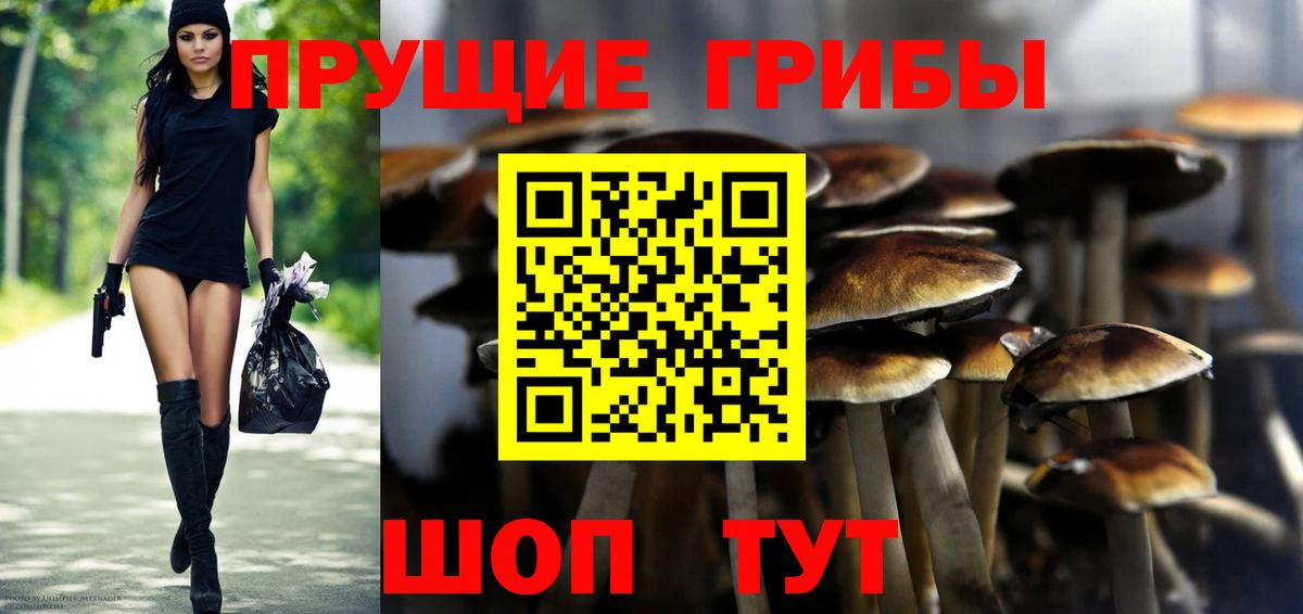 Псилоцибиновые грибы мухоморы  Вход с VPN  Кызыл 